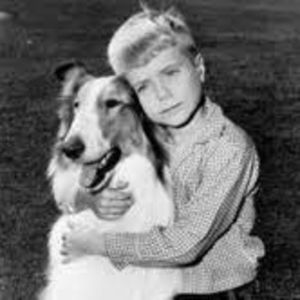 Meet your Posher, Will